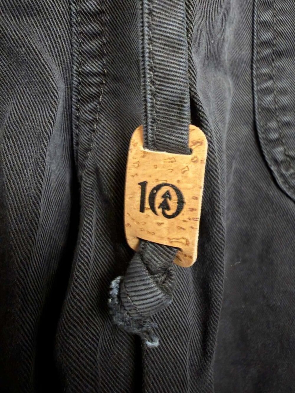 Tentree Pants
